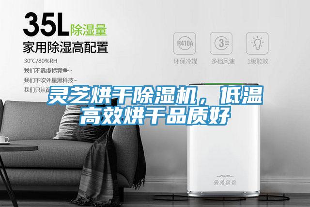 靈芝烘干除濕機,低溫高效烘干品質(zhì)好