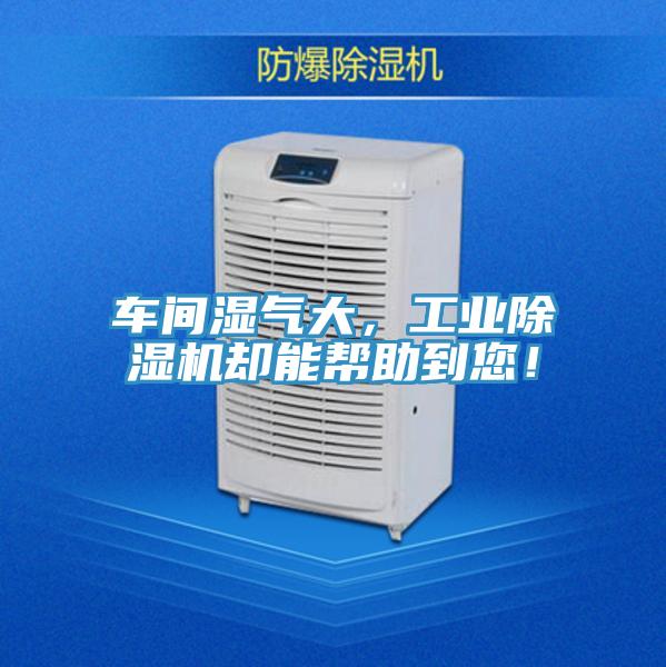 車間濕氣大，工業(yè)除濕機(jī)卻能幫助到您！
