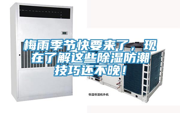 梅雨季節快要來了,現在了解這些除濕防潮技巧還不晚!