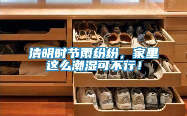 清明時節雨紛紛,家里這么潮濕可不行!