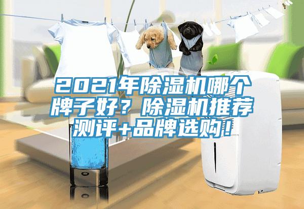 2021年除濕機(jī)哪個(gè)牌子好？除濕機(jī)推薦測(cè)評(píng)+品牌選購(gòu)！