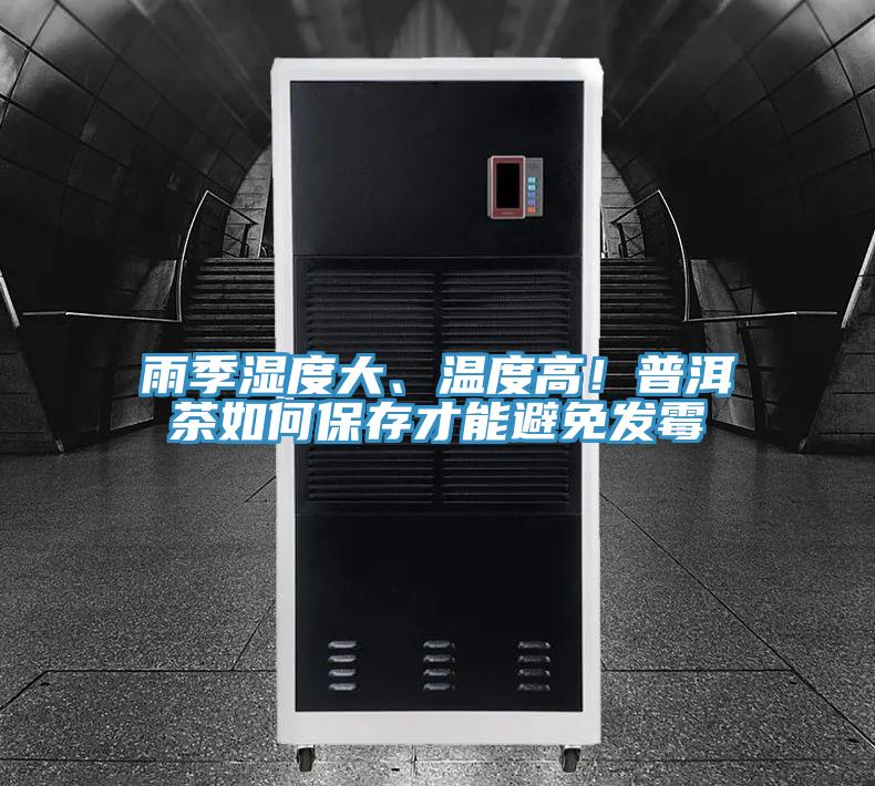 雨季濕度大、溫度高！普洱茶如何保存才能避免發(fā)霉