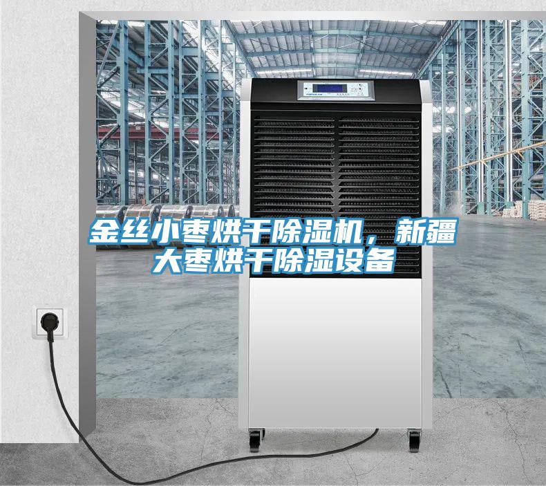 金絲小棗烘干除濕機，新疆大棗烘干除濕設(shè)備