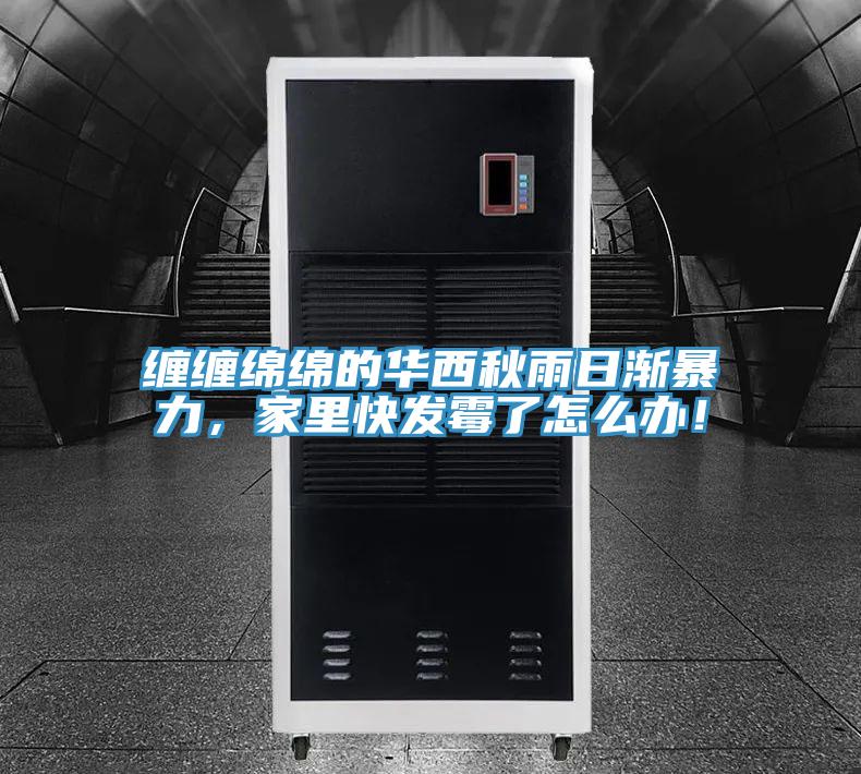 纏纏綿綿的華西秋雨日漸暴力，家里快發霉了怎么辦！