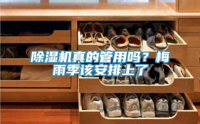 除濕機真的管用嗎?梅雨季該安排上了