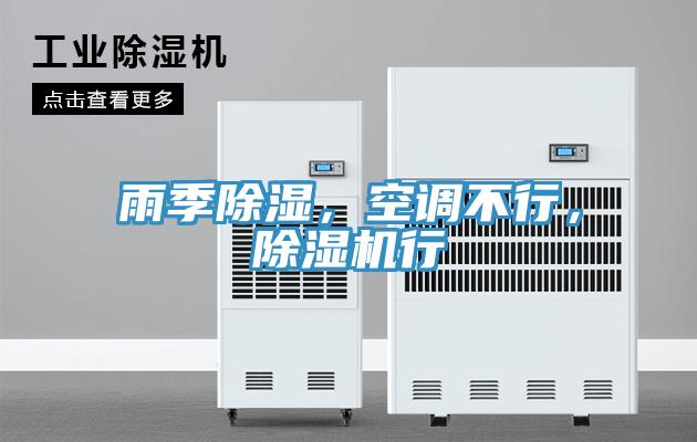 雨季除濕，空調(diào)不行，除濕機行