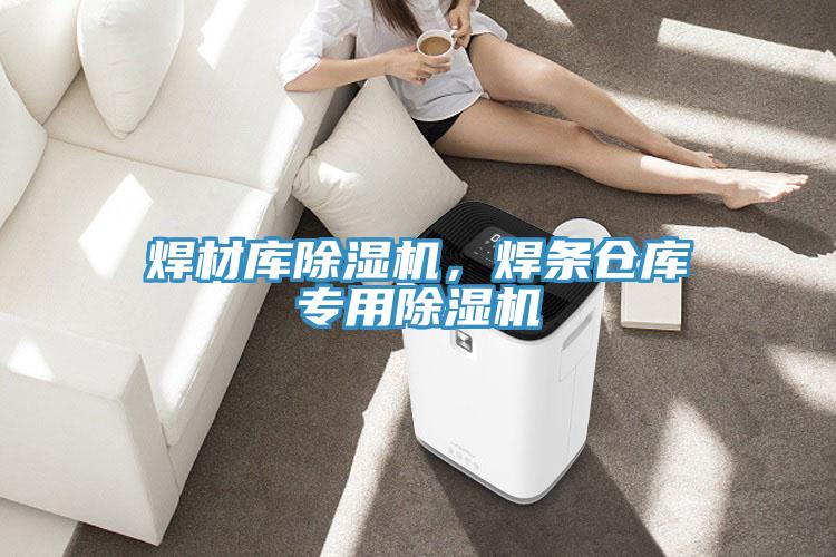 焊材庫除濕機，焊條倉庫專用除濕機