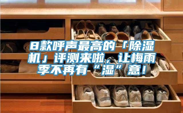 8款呼聲最高的「除濕機」評測來啦,讓梅雨季不再有“濕”意!