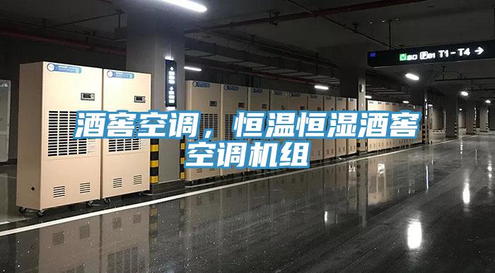 酒窖空調(diào),恒溫恒濕酒窖空調(diào)機組