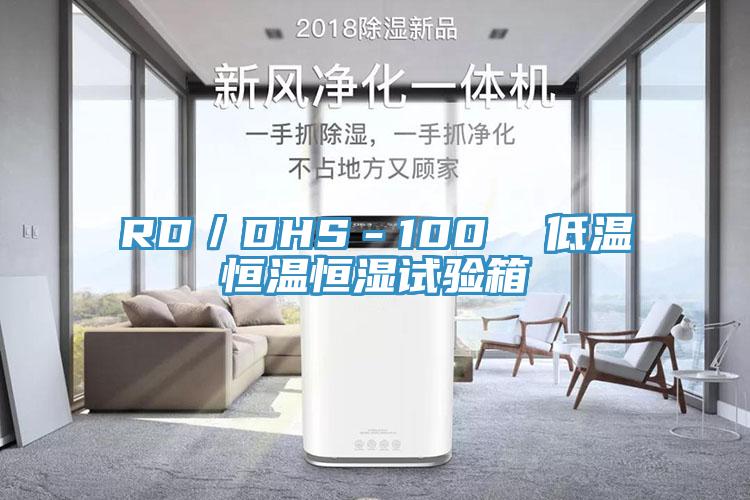 RD/DHS-100 低溫恒溫恒濕試驗(yàn)箱