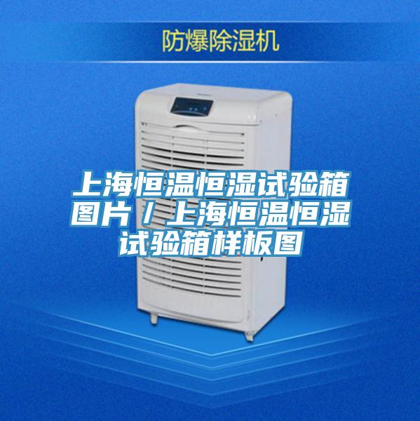上海恒溫恒濕試驗(yàn)箱圖片/上海恒溫恒濕試驗(yàn)箱樣板圖