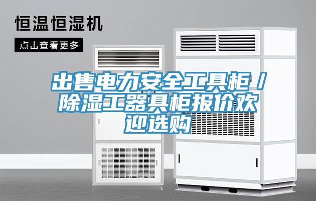 出售電力安全工具柜/除濕工器具柜報(bào)價(jià)歡迎選購(gòu)