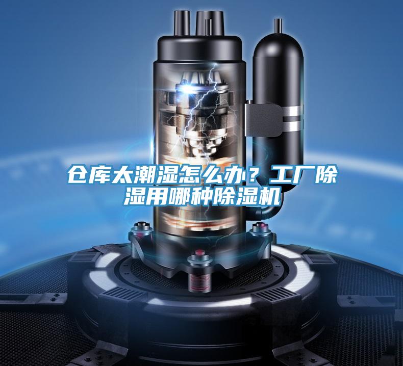 倉庫太潮濕怎么辦？工廠除濕用哪種除濕機