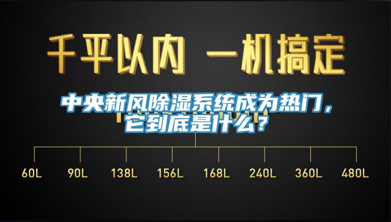 中央新風(fēng)除濕系統(tǒng)成為熱門，它到底是什么？