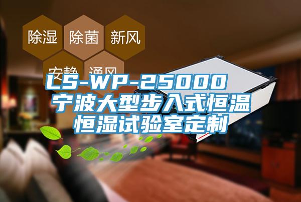 LS-WP-25000 寧波大型步入式恒溫恒濕試驗(yàn)室定制
