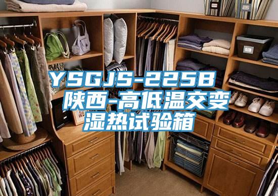 YSGJS-225B 陜西-高低溫交變濕熱試驗箱