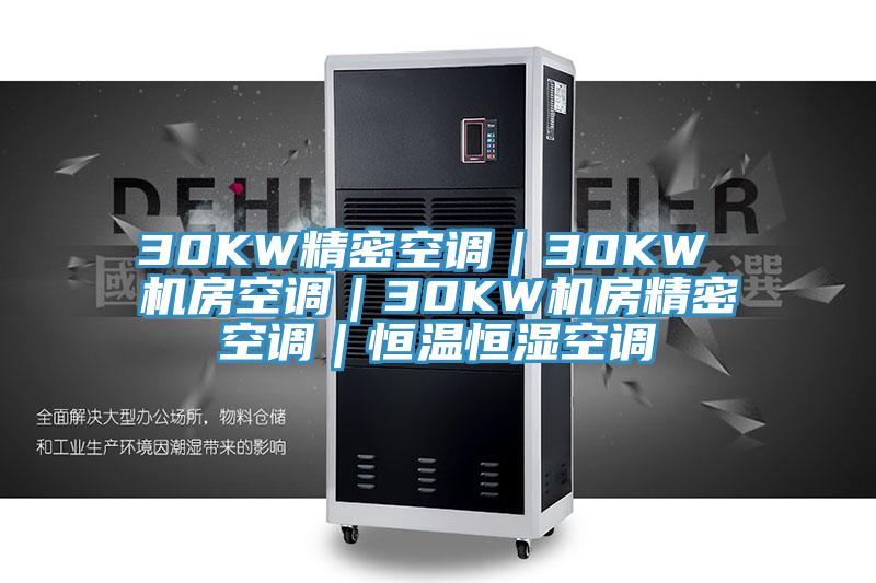 30KW精密空調|30KW 機房空調|30KW機房精密空調|恒溫恒濕空調