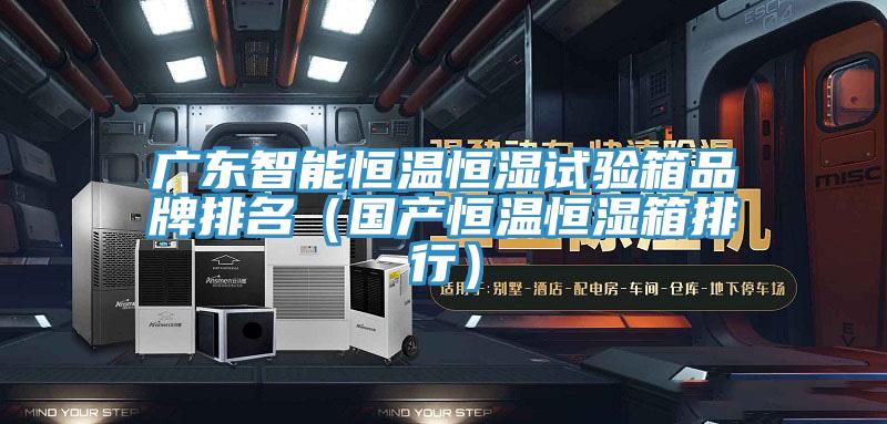 廣東智能恒溫恒濕試驗箱品牌排名(國產恒溫恒濕箱排行)