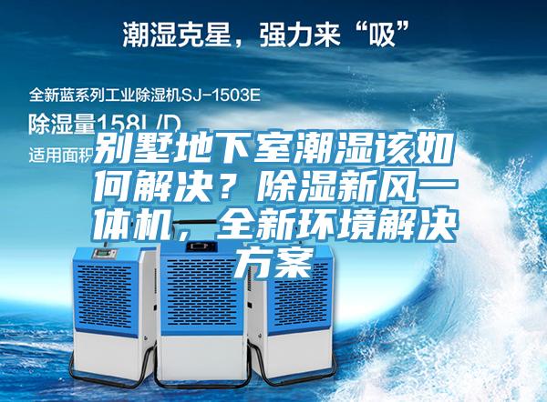 別墅地下室潮濕該如何解決？除濕新風一體機，全新環境解決方案