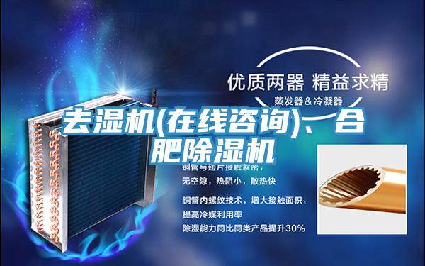 去濕機(在線咨詢)、合肥除濕機