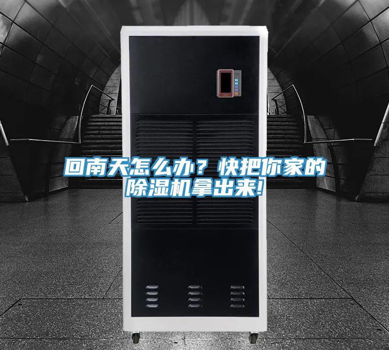 回南天怎么辦？快把你家的除濕機拿出來!