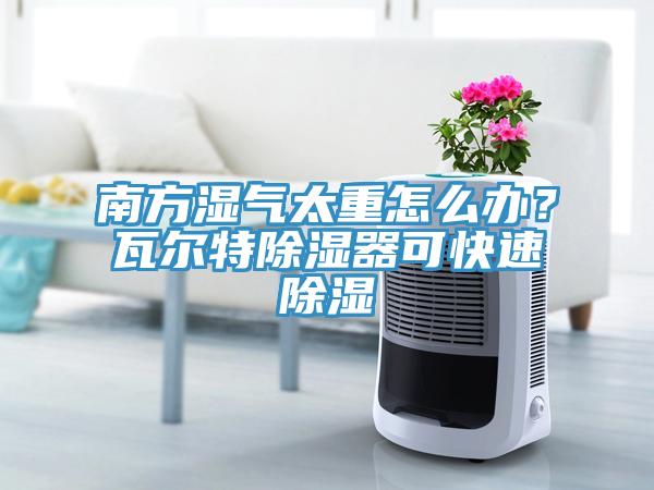 南方濕氣太重怎么辦？瓦爾特除濕器可快速除濕