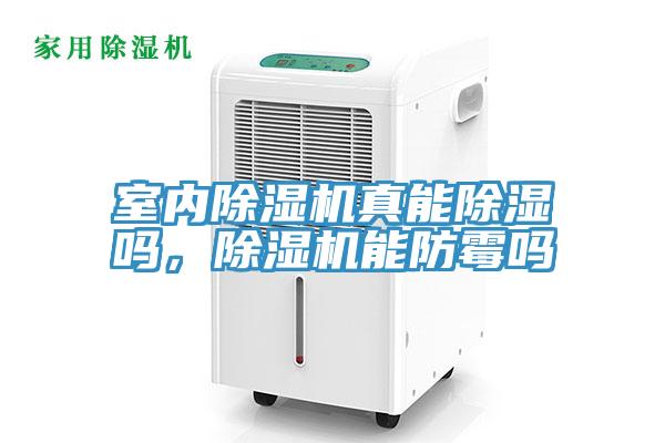 室內除濕機真能除濕嗎，除濕機能防霉嗎