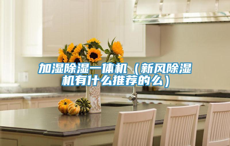 加濕除濕一體機(新風除濕機有什么推薦的么)