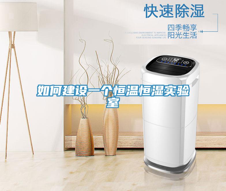 如何建設(shè)一個恒溫恒濕實(shí)驗室