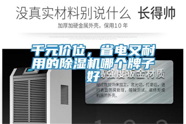 千元價位，省電又耐用的除濕機(jī)哪個牌子好