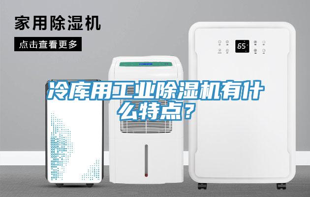 冷庫用工業除濕機有什么特點?