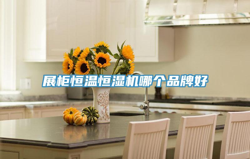 展柜恒溫恒濕機哪個品牌好