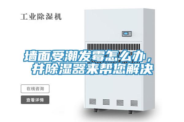 墻面受潮發霉怎么辦,東井除濕器來幫您解決
