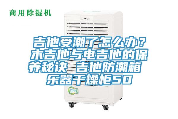 吉他受潮了怎么辦？木吉他與電吉他的保養秘訣 吉他防潮箱 樂器干燥柜50