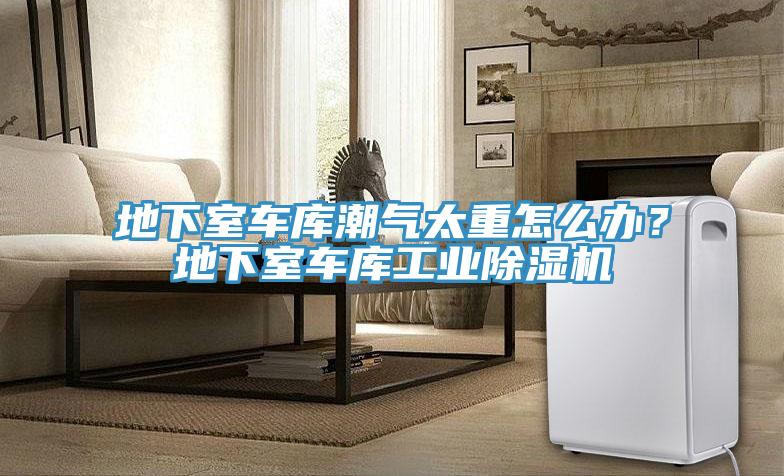 地下室車庫潮氣太重怎么辦?地下室車庫工業(yè)除濕機