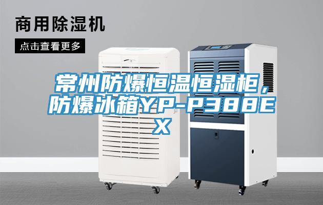 常州防爆恒溫恒濕柜,防爆冰箱YP-P388EX
