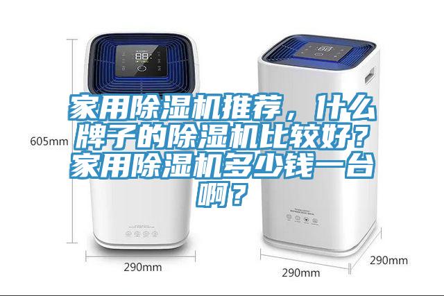 家用除濕機(jī)推薦,什么牌子的除濕機(jī)比較好?家用除濕機(jī)多少錢一臺(tái)啊?