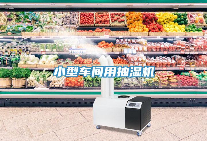 小型車(chē)間用抽濕機(jī)