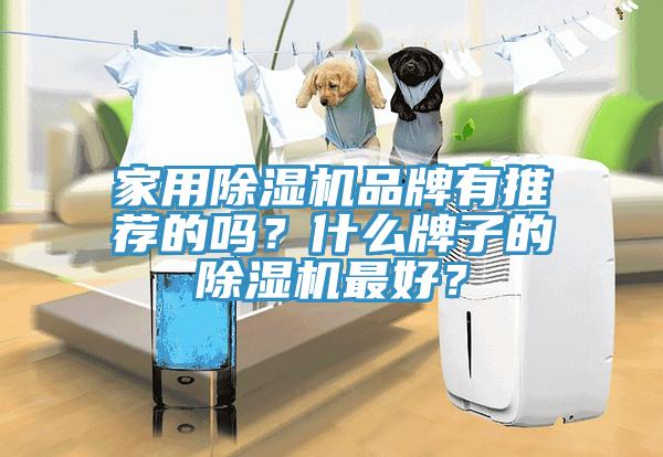 家用除濕機品牌有推薦的嗎？什么牌子的除濕機最好？