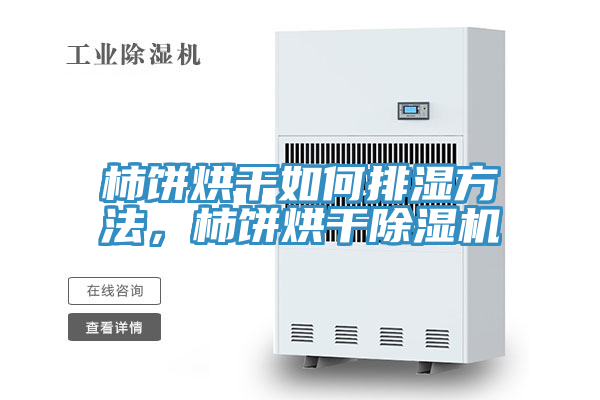 柿餅烘干如何排濕方法,柿餅烘干除濕機(jī)