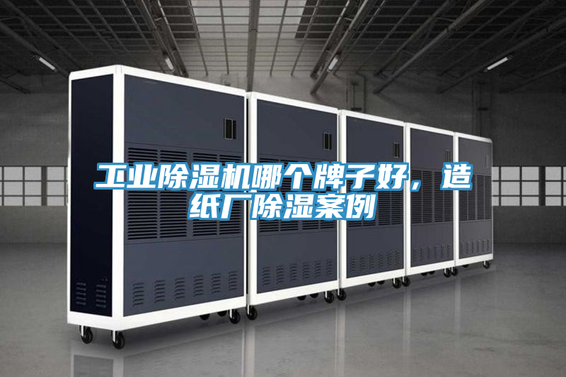 工業除濕機哪個牌子好，造紙廠除濕案例