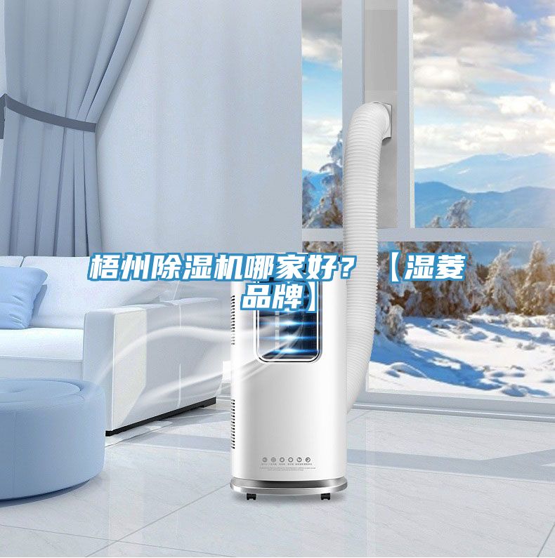 梧州除濕機哪家好？【濕菱品牌】
