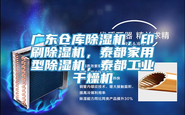 廣東倉庫除濕機，印刷除濕機，泰都家用型除濕機，泰都工業干燥機