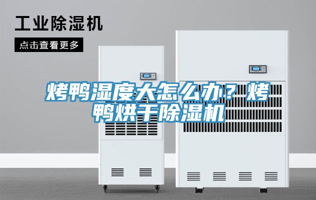 烤鴨濕度大怎么辦?烤鴨烘干除濕機