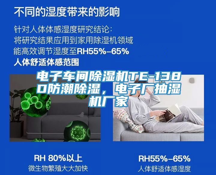 電子車間除濕機TE-138D防潮除濕,電子廠抽濕機廠家