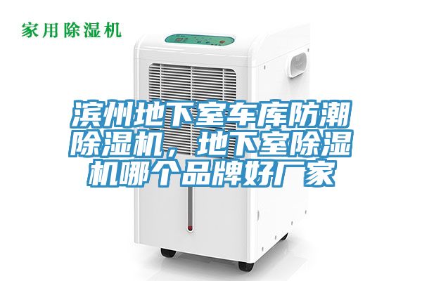 濱州地下室車庫防潮除濕機,地下室除濕機哪個品牌好廠家