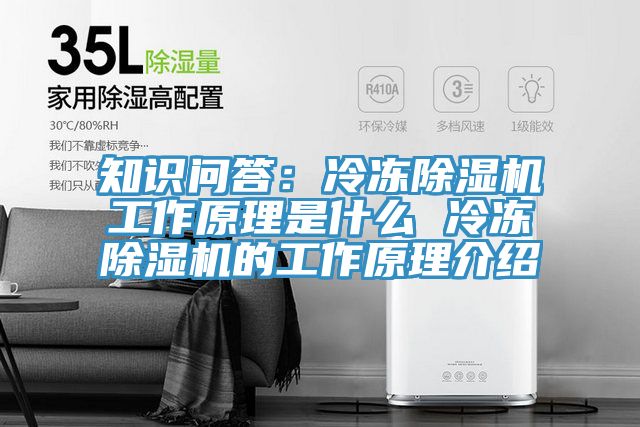 知識問答:冷凍除濕機工作原理是什么 冷凍除濕機的工作原理介紹