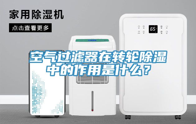 空氣過濾器在轉輪除濕中的作用是什么？