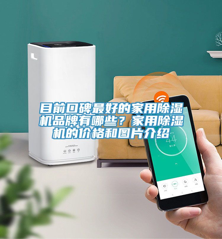 目前口碑最好的家用除濕機品牌有哪些?家用除濕機的價格和圖片介紹