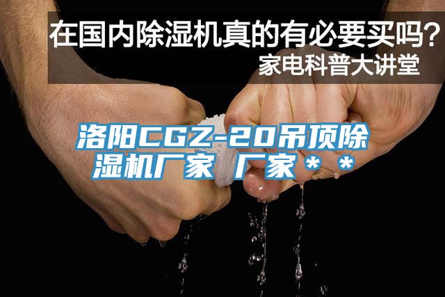洛陽CGZ-20吊頂除濕機廠家 廠家**